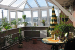 Зимний сад дома