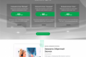 Landing page "БиКлининг"
