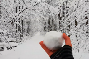 Winter_Challenge