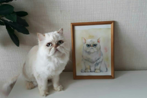 Работа 3780801