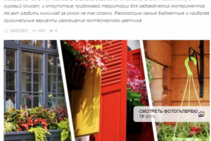 Цветник за окном