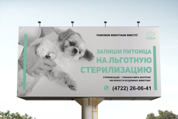 img4458678.png