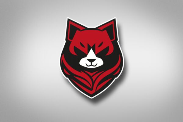 img4482835.png