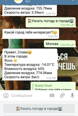 img3388067.png