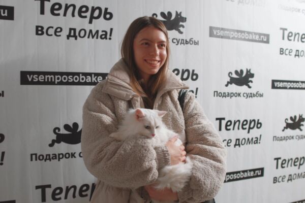 img4340244.png