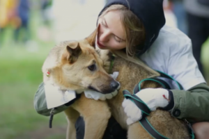 Love Dogs