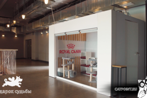 Котокомната на ArtPlay