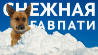 Снежная Гав Пати