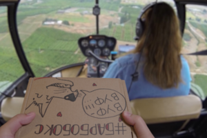 BarboBox Courier