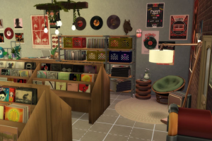 Дизайн интерьера для магазина винила