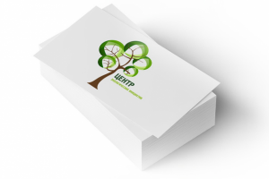 «Центр экологических инициатив»