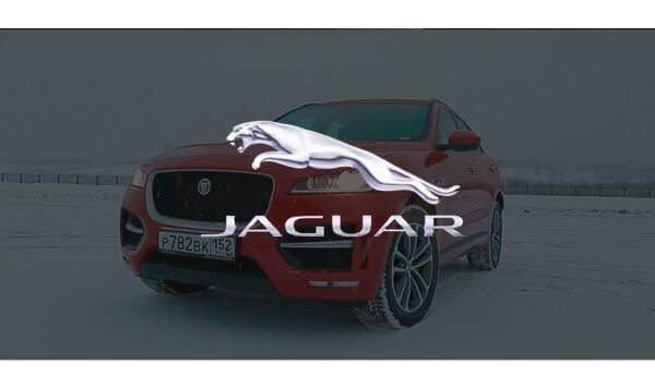 img3820600.png