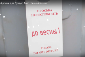 Рекламный ролик для Луидор Авто  Шинный отель