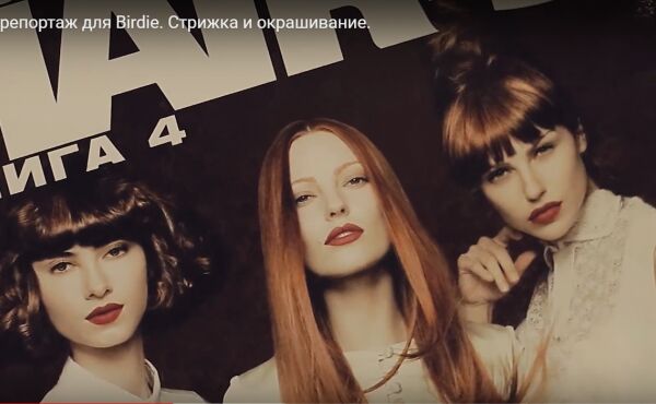 img3818264.png