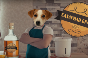 Видеоблог для группы Village Drinks от команды Dia prod