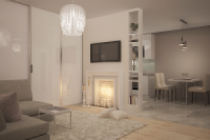 Проект квартиры(Долгопрудный)