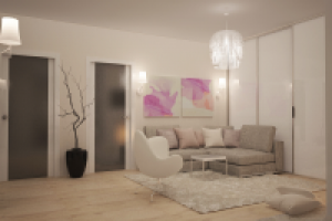 Проект квартиры(Долгопрудный)