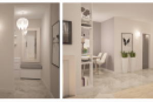 Проект квартиры(Долгопрудный)