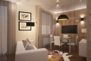 Проект картиры(Москва)