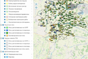 Геопортал состояния и использования лесов