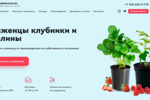 Лендинг под ключ