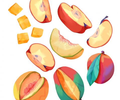 img4433937.png