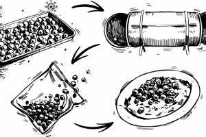 иллюстрации для упаковки замороженных ягод
