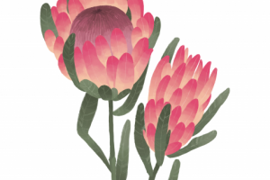 стилизация цветов