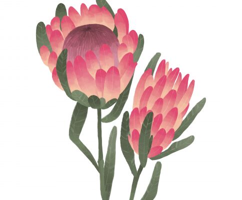 img4139186.png