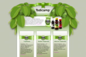 Сайт одностраничник "Тодикамп"