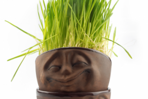 Работа 3388763