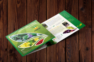 Квадратный буклет-гармошка для ИЗАГРИ