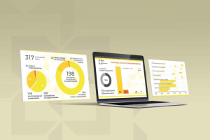 Презентация (таблицы, сводная информация)