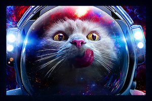 Баннер в полном размере  —»