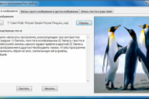Стеганография в мультимедийных файлах (Visual C# 2010)