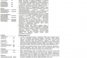 рейтинговый отчет