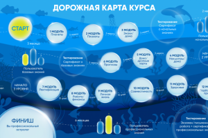 Дорожная карта