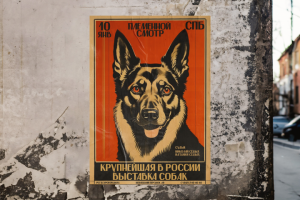 Всероссийская выставка собак