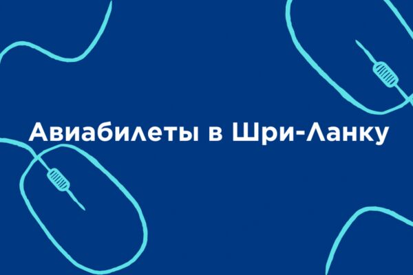 img4478722.png