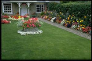 Как благоустройство связано с налогообложением