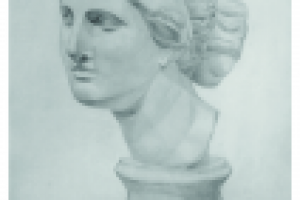 Работа 2019632