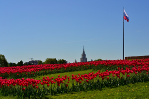 На Поклонной горе