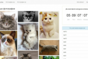 Конкурс фотографий