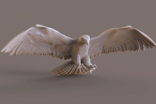img3623800.png