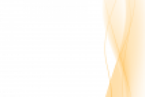 Бланк ДТШ "Легокомп", г. Заречный