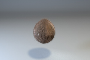 Разлетающийся кокос видео по ссылке