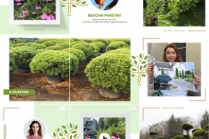 Единый стиль для инста-аккаунта студии ландшафтного дизайна