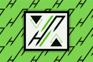 Логотип для букв Н и П