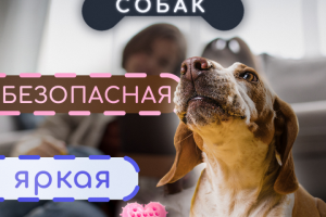 Карточка товара - игрушка для собак