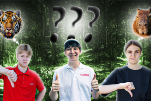 Превью для видео